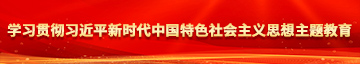 美日韩大黑逼学习贯彻习近平新时代中国特色社会主义思想主题教育